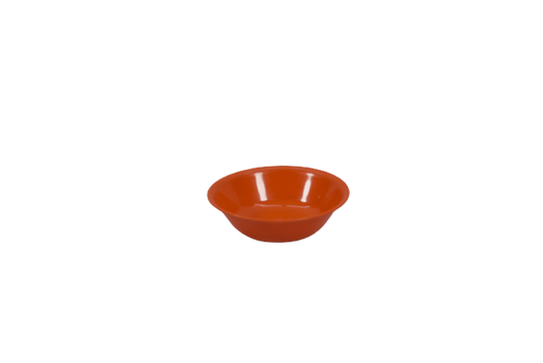 Plato #6